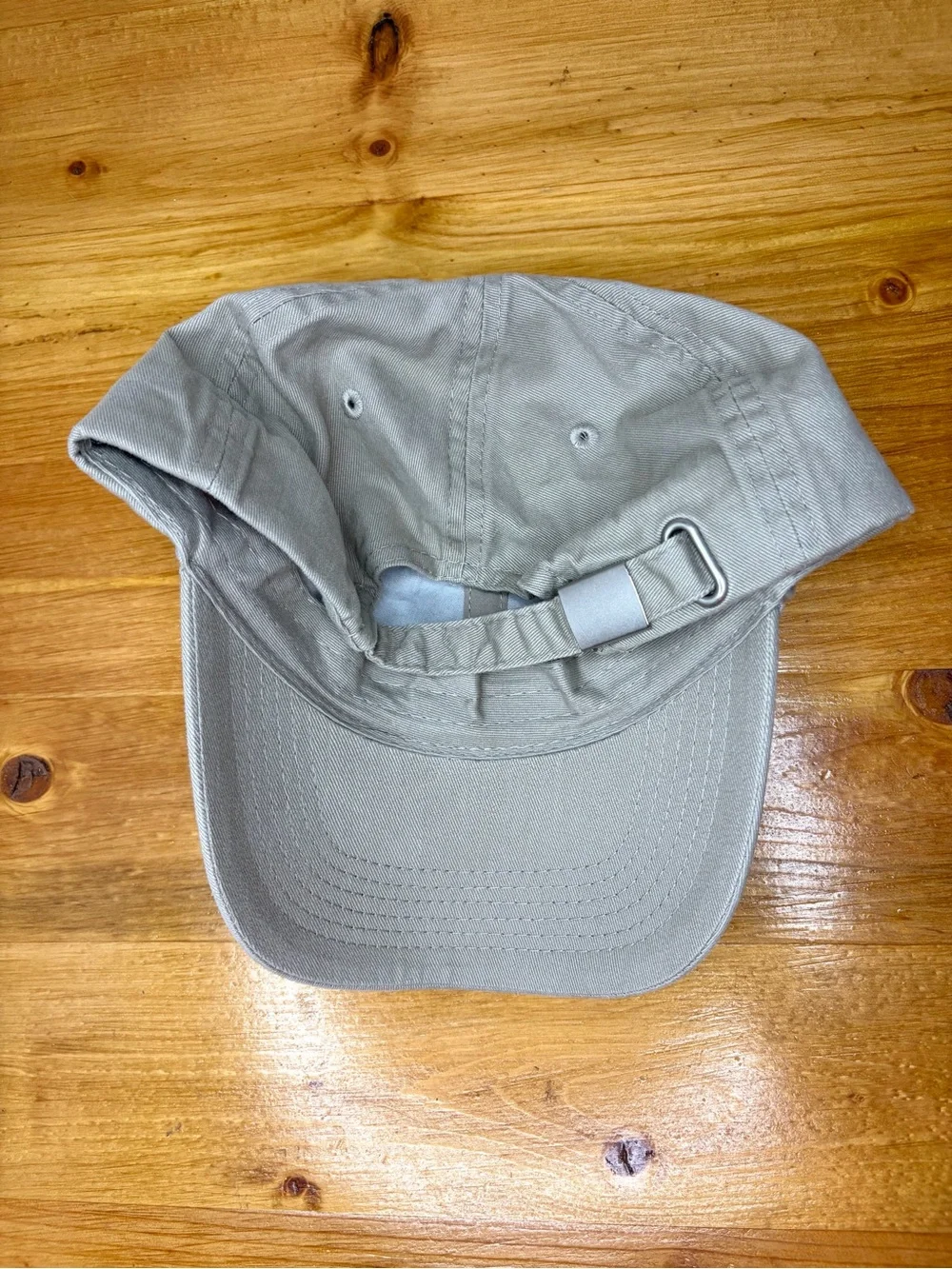 Vintage Minnesota State Lottery Hat American Image Loon Embroidered Wildlife Cap
